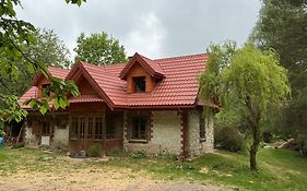Agroturystyka Siedlisko Wydry - dom w środku lasu